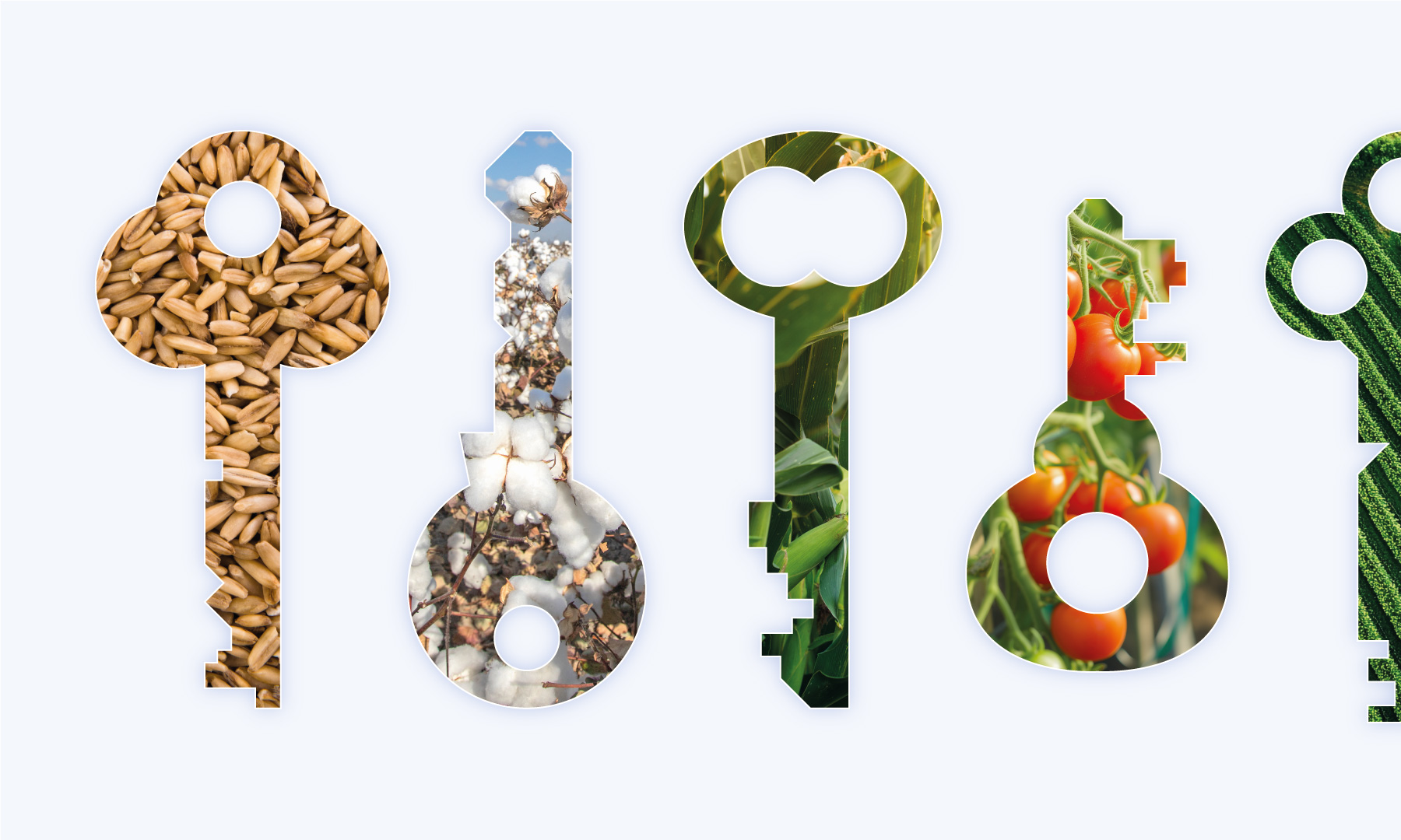 cultivos-llave-en-mano-fitesa